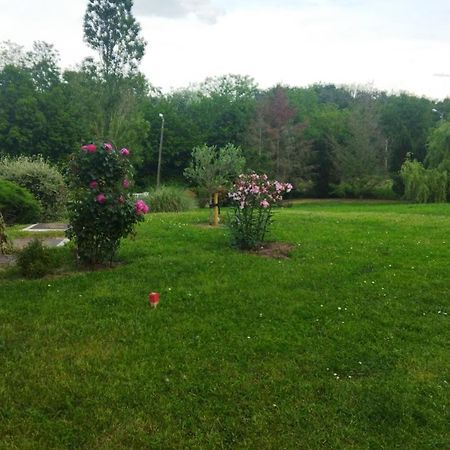 Chambre Avec Entree Independante Dans Un Ecrin De Verdure Dommartin  Zewnętrze zdjęcie